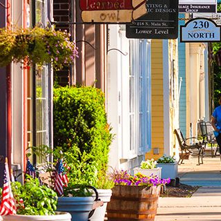 Inszone Insurance Main Street Businesses Page Banner - Woman Walking Her Dog on a Business Alley