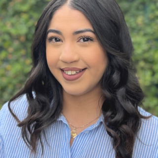 Maria Perez - Inszone Insurance - Personal Sales Team Manager