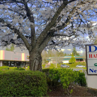 Inszone Insurance location - Federal Way, WA